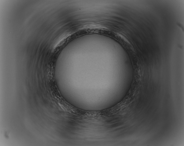 X0000101210775200807181417