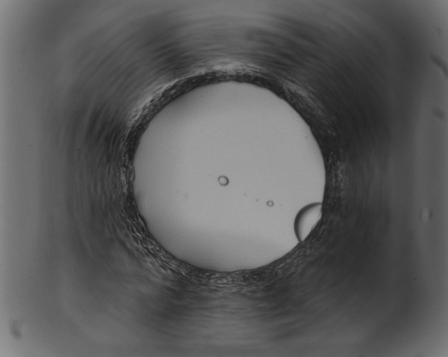 X0000101210776200807181417