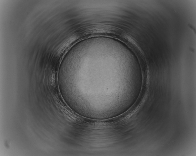 X0000101210777200807181417