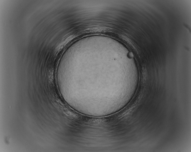 X0000101210778200807181417