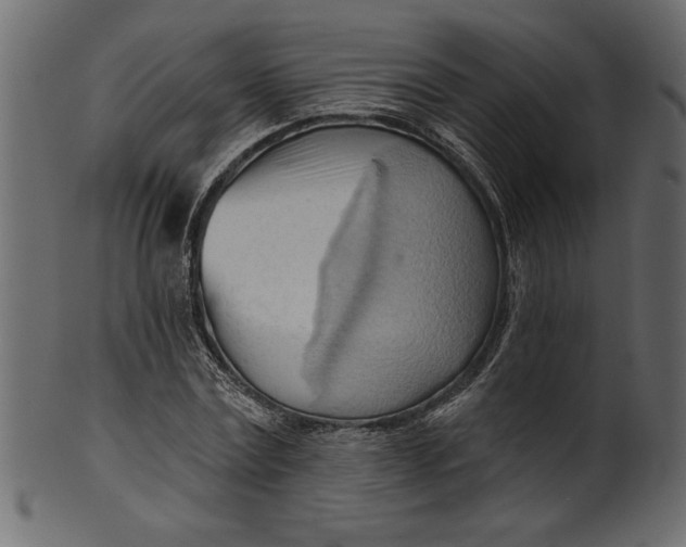 X0000101210779200807181417