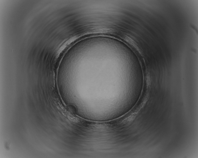 X0000101210781200807181417