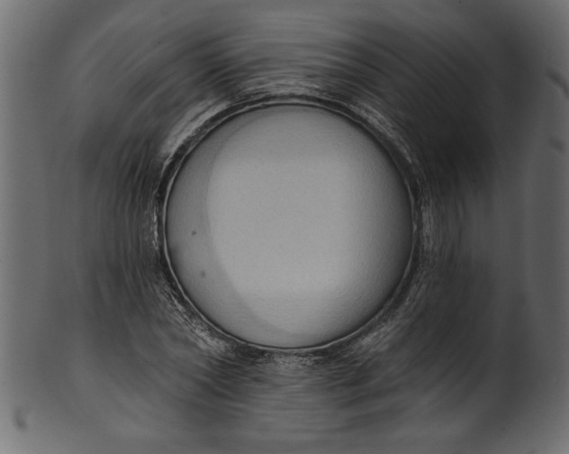 X0000101210782200807181417