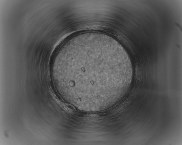 X0000101210784200807181417