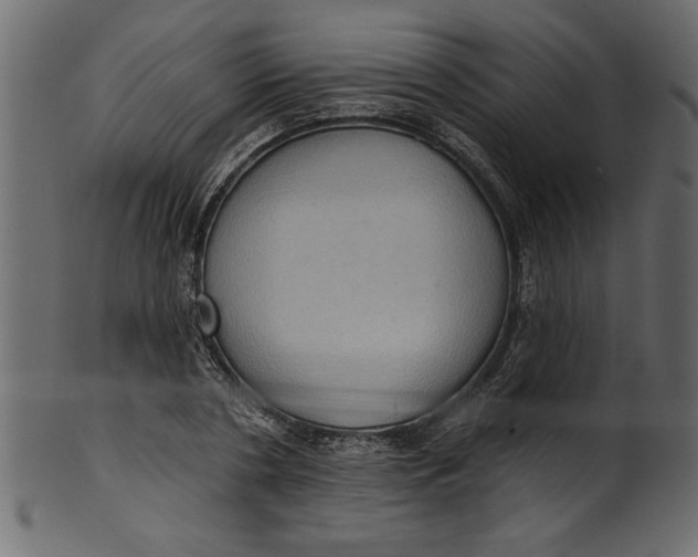 X0000101210786200807181417