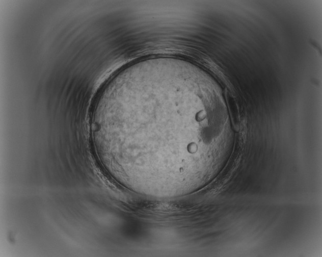 X0000101210787200807181417