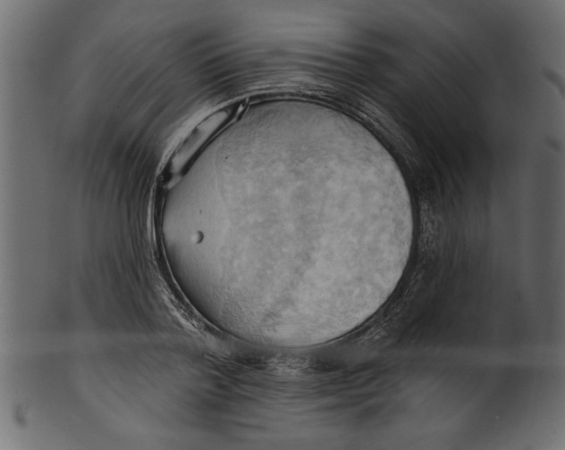 X0000101210788200807181417