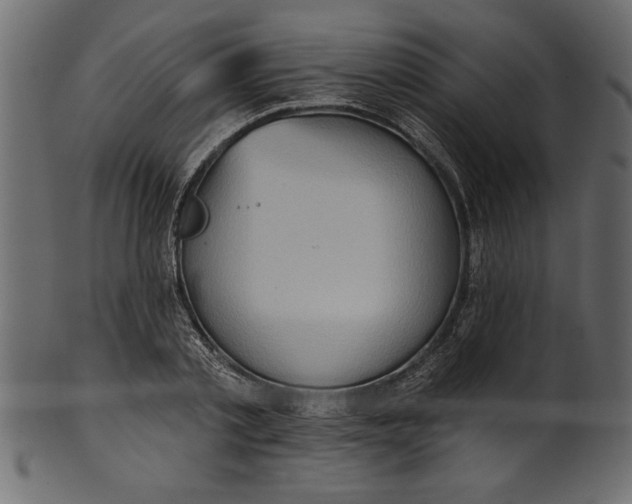 X0000101210789200807181417