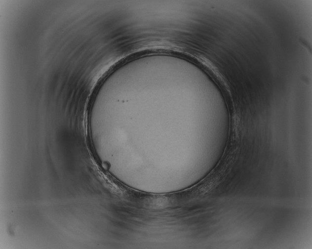 X0000101210791200807181417