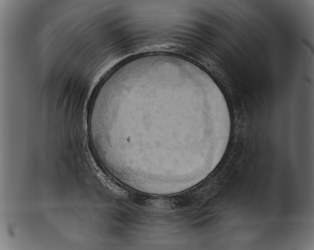 X0000101210792200807181417