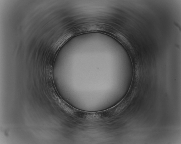 X0000101210793200807181417