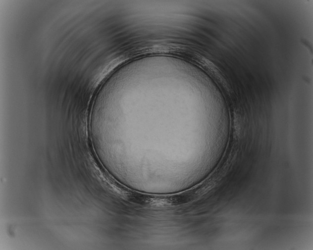 X0000101210794200807181417