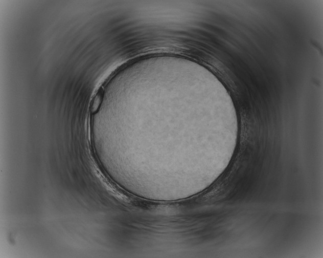 X0000101210796200807181417