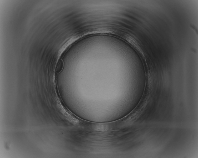 X0000101210797200807181417