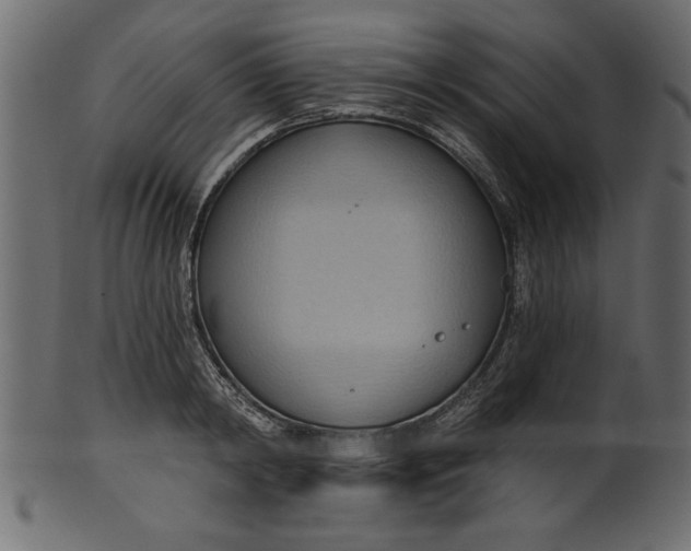 X0000101210798200807181417