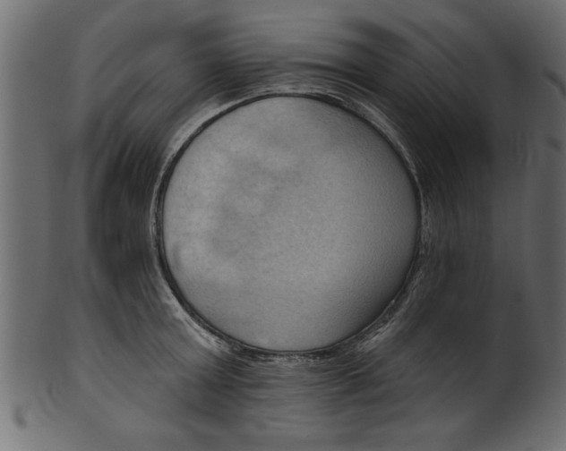 X0000101210803200807181417