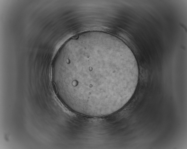 X0000101210804200807181417