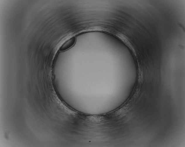 X0000101210805200807181417