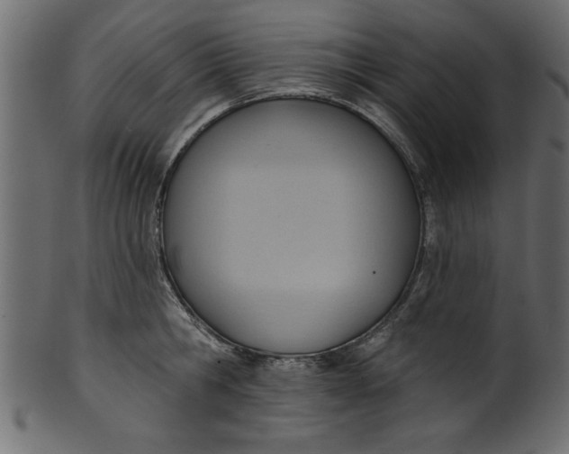 X0000101210806200807181417