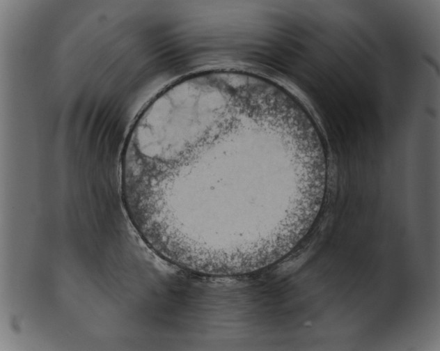 X0000101210807200807181417