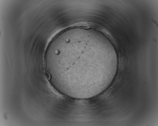 X0000101210808200807181417