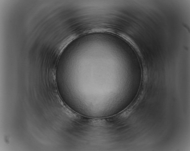 X0000101210809200807181417