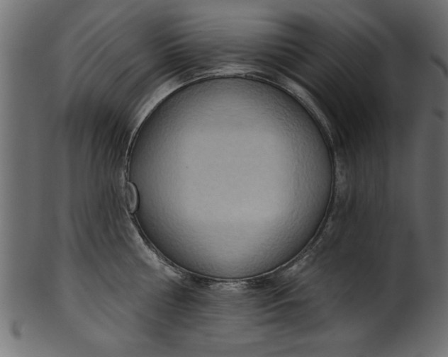 X0000101210810200807181417