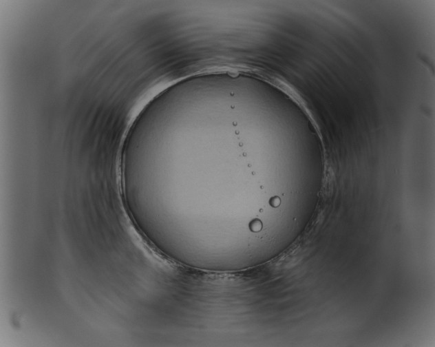 X0000101210811200807181417