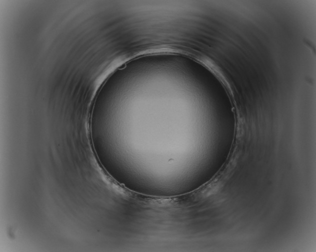 X0000101210813200807181417