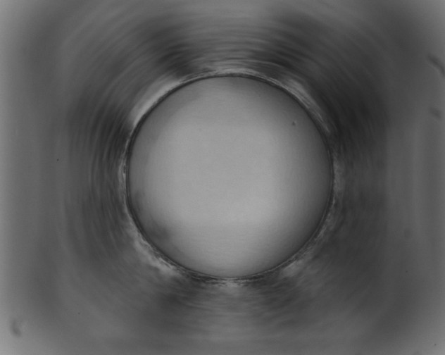 X0000101210814200807181417