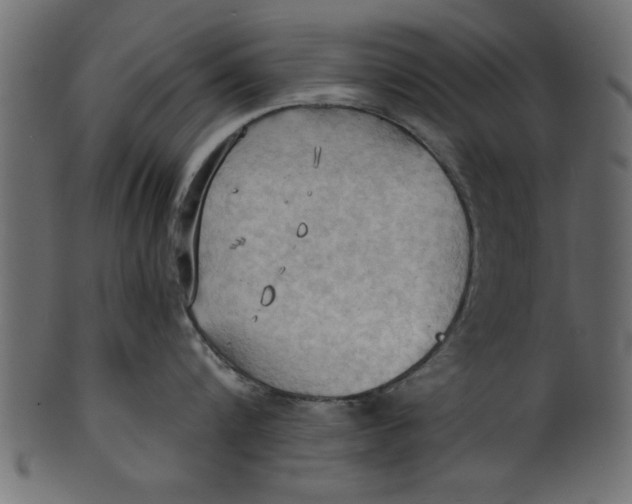 X0000101210816200807181416