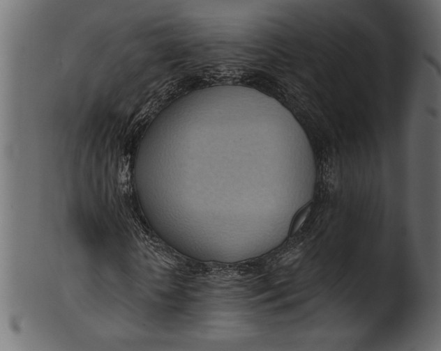 X0000101210818200807181416