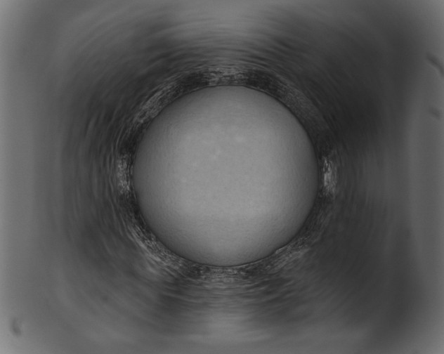 X0000101210819200807181416