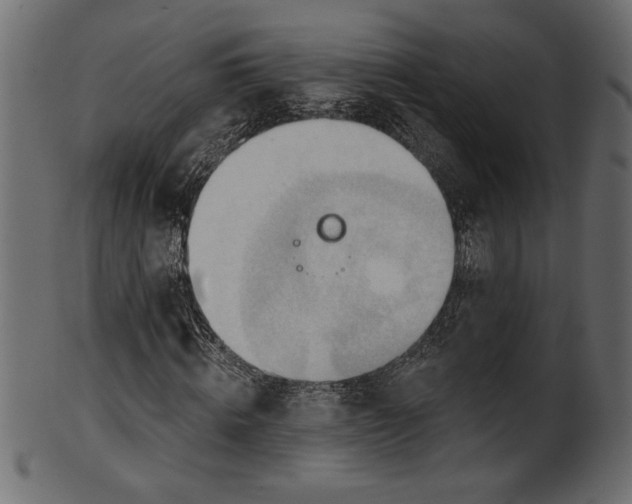 X0000101210820200807181416