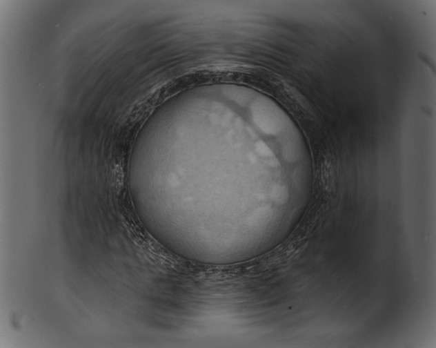 X0000101210821200807181416