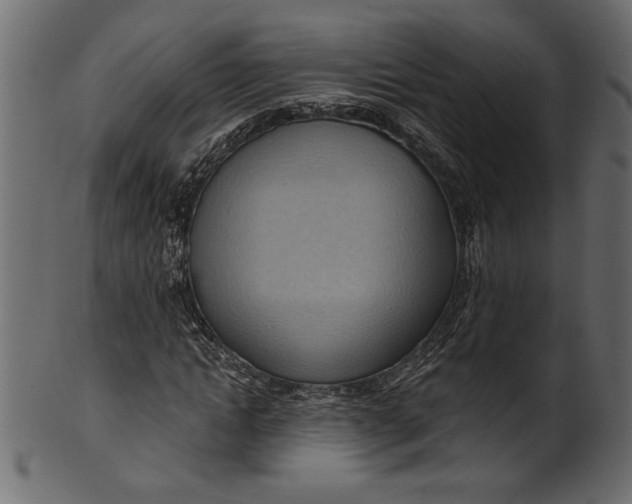 X0000101210822200807181416