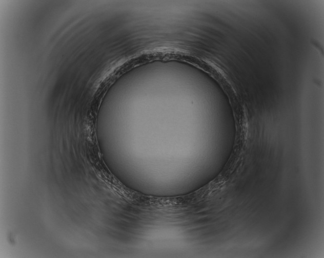 X0000101210823200807181416