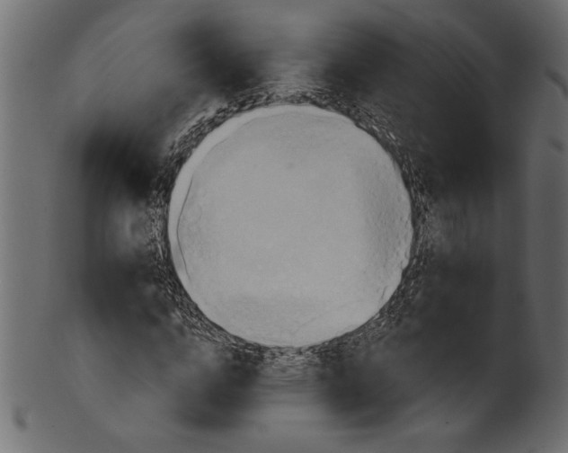 X0000101210824200807181416