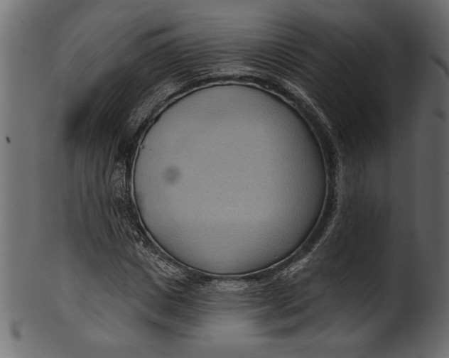 X0000101210825200807181416