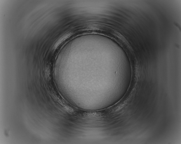 X0000101210826200807181416