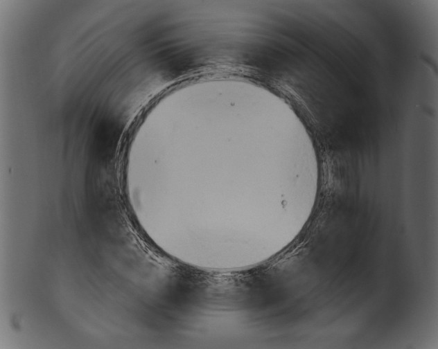 X0000101210828200807181416