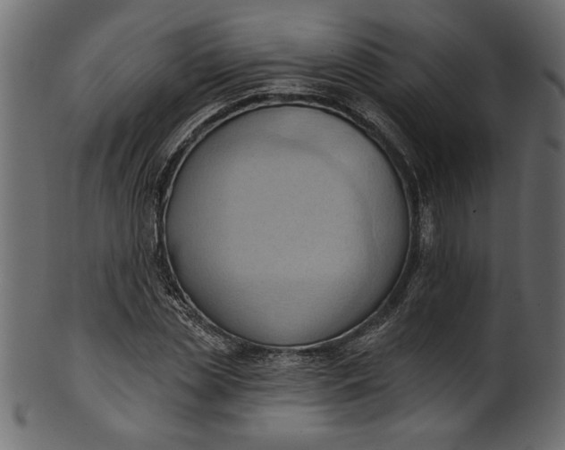 X0000101210829200807181416