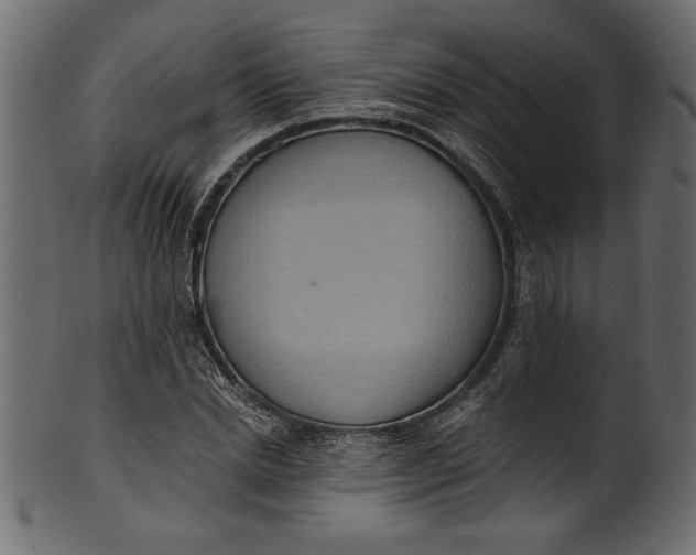 X0000101210830200807181416