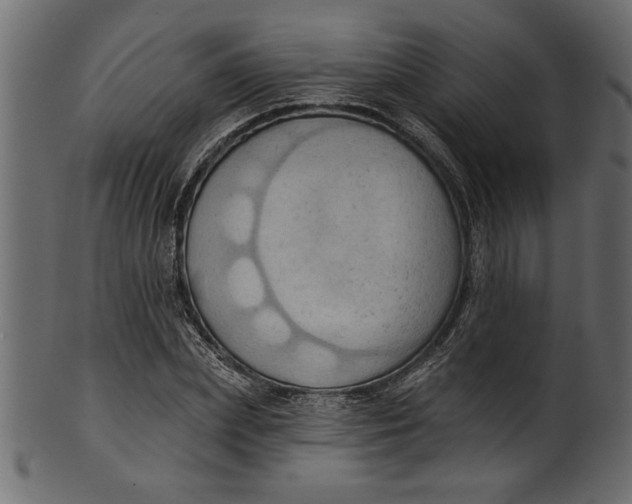 X0000101210831200807181416