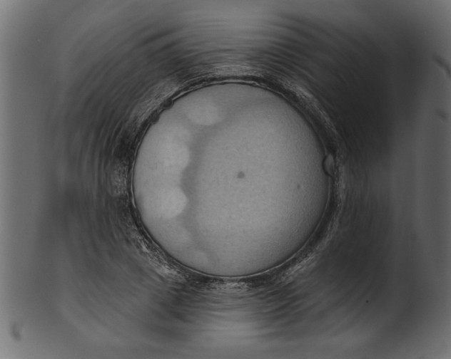 X0000101210833200807181416