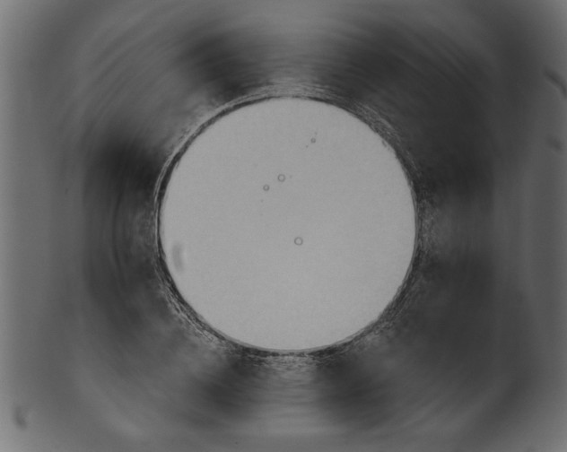 X0000101210836200807181416