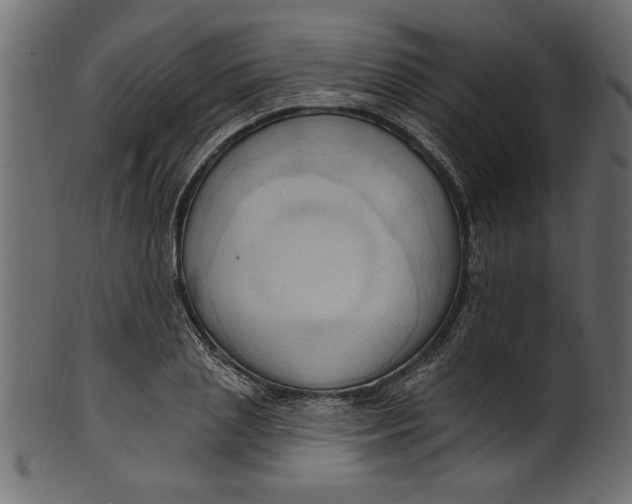 X0000101210837200807181416