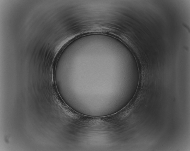 X0000101210838200807181416