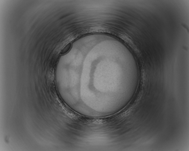 X0000101210841200807181416