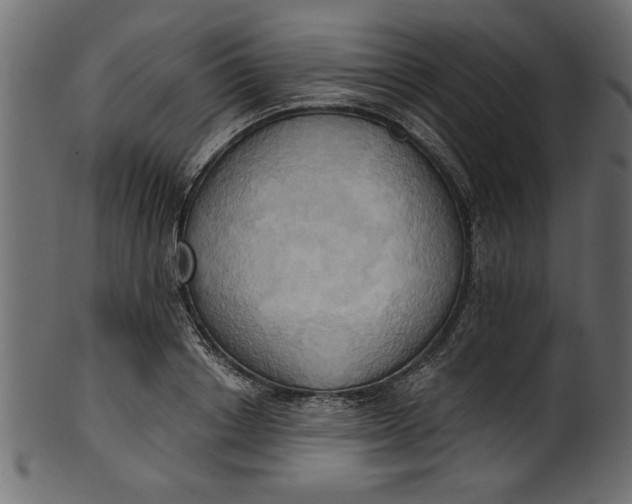 X0000101210842200807181416